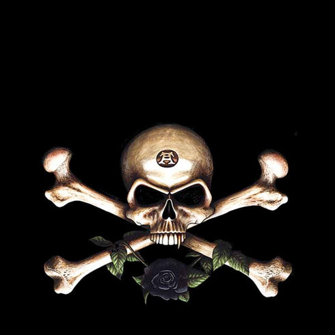 Alchemy Skull and Crossbones iPhone XR Skin