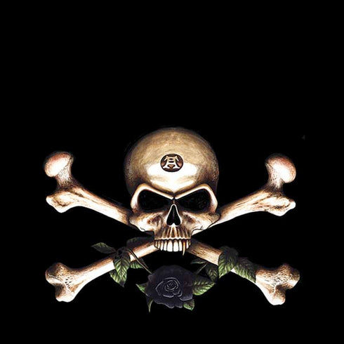 Alchemy Skull and Crossbones iPhone XS Pro Case