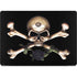Alchemy Skull and Crossbones MacBook Pro 14in (2021-24) Skin