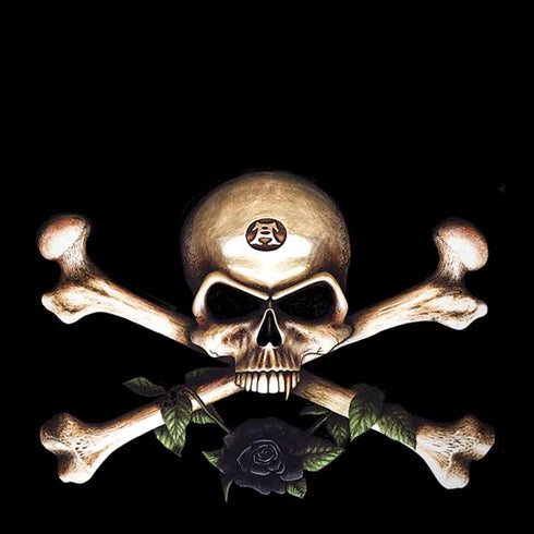 Alchemy Skull and Crossbones Moto G6 Skin