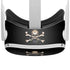 Alchemy Skull and Crossbones Oculus Quest 2 Skin