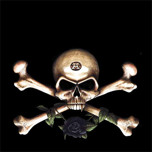 Alchemy Skull and Crossbones Otterbox Commuter Galaxy Skin