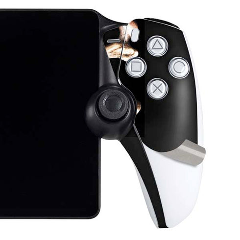 Alchemy Skull and Crossbones PlayStation Portal Remote Player Skin