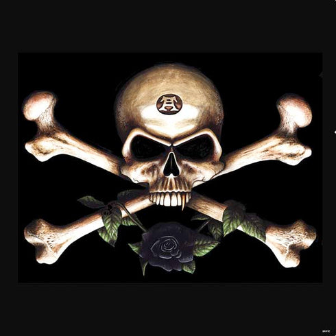 Alchemy Skull and Crossbones PS4 Pro Console Skin