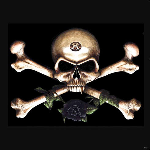 Alchemy Skull and Crossbones PS4 Slim Skin