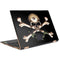 Alchemy Skull and Crossbones HP Spectre Skin