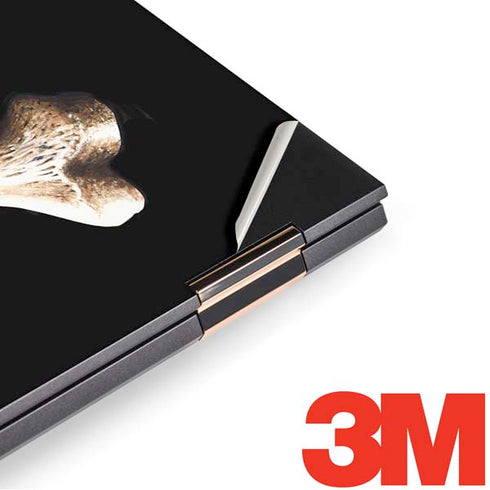 Alchemy Skull and Crossbones HP Spectre Skin
