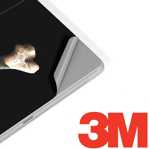 Alchemy Skull and Crossbones Surface Go Skin