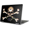 Alchemy Skull and Crossbones Yoga 710 14in Skin