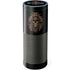 Skull and Owl by Sarah Richter Amazon Echo Skin