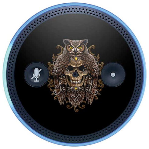 Skull and Owl by Sarah Richter Amazon Echo Skin