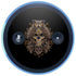 Skull and Owl by Sarah Richter Amazon Echo Skin