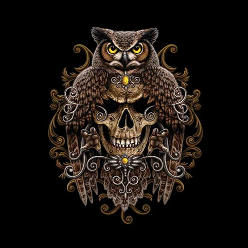 Skull and Owl by Sarah Richter Amazon Echo Skin