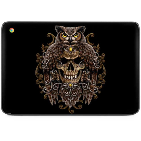 Skull and Owl by Sarah Richter HP Chromebook Skin