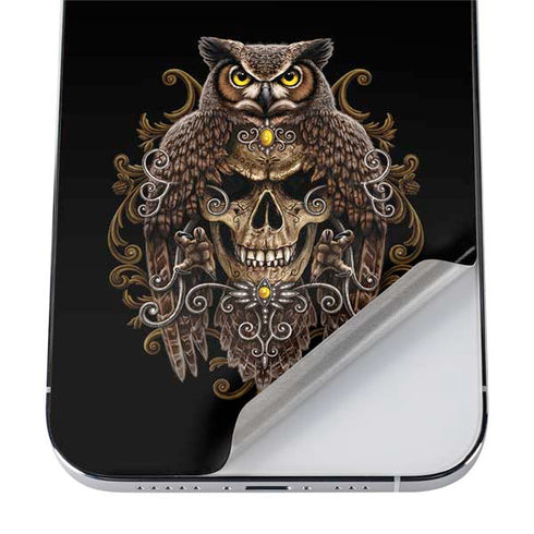 Skull and Owl by Sarah Richter iPhone 12 Pro Max Skin