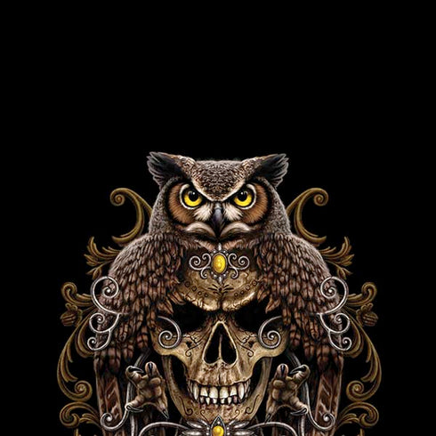 Skull and Owl by Sarah Richter iPhone X Pro Case