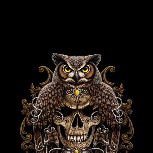 Skull and Owl by Sarah Richter iPhone XR Pro Case
