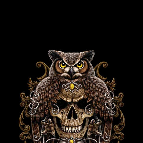 Skull and Owl by Sarah Richter iPhone XR Skin