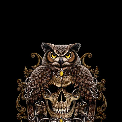 Skull and Owl by Sarah Richter iPhone XS Max Skin