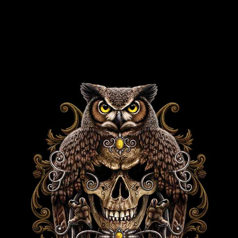 Skull and Owl by Sarah Richter iPhone XS Pro Case