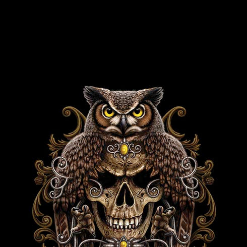 Skull and Owl by Sarah Richter iPhone XS Skin