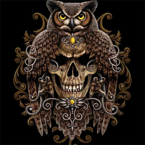 Skull and Owl by Sarah Richter Legion Y720 Skin