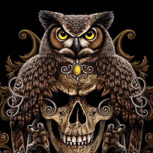 Skull and Owl by Sarah Richter Moto G6 Skin