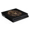 Skull and Owl by Sarah Richter PS4 Slim Skin