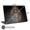 Skull and Owl by Sarah Richter Universal Laptop 16.6in (13.4 x 9.7in) Skin