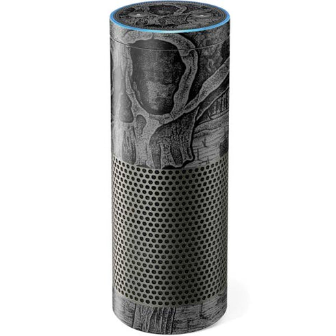 Alchemy Carta Skull Sketch Amazon Echo Skin