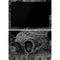 Alchemy Carta Skull Sketch Surface Pro 7 Skin