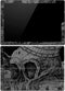 Alchemy Carta Skull Sketch Surface Pro (2017) Skin