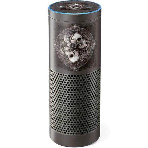 Alchemy Carta Dioscuri Amazon Echo Skin