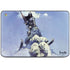 Sliver Warrior by Frazetta HP Chromebook Skin