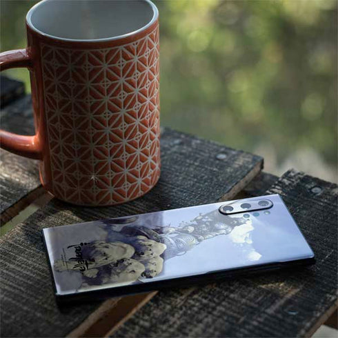 Frazetta Sliver Warrior Galaxy Note 10 Plus Skin