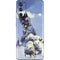 Frazetta Sliver Warrior Galaxy S20 Fan Edition Skin