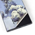 Frazetta Sliver Warrior Galaxy S22 Ultra Skin