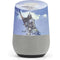 Frazetta Sliver Warrior Google Home Skin