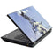 Frazetta Sliver Warrior Lenovo T420 Skin