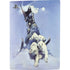 Frazetta Sliver Warrior PS5 Digital Edition Console Skin