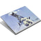 Frazetta Sliver Warrior Surface Book Skin
