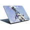 Frazetta Sliver Warrior Surface Laptop Skin