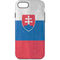 Slovakia Flag Distressed iPhone 7 Pro Case