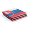 Slovakia Flag Distressed PS4 Pro Console Skin