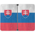 Slovakia Flag Distressed Surface Duo Skin