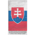 Slovakia Flag Distressed Xbox Series S Console Skin