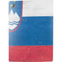 Slovenia Flag Distressed PS5 Digital Edition Bundle Skin