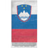 Slovenia Flag Distressed Xbox Series S Bundle Skin