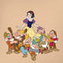 Disney Snow White and the seven dwarfs iPhone XR Pro Case