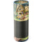 Disney Snow White Classic Cover Amazon Echo Skin